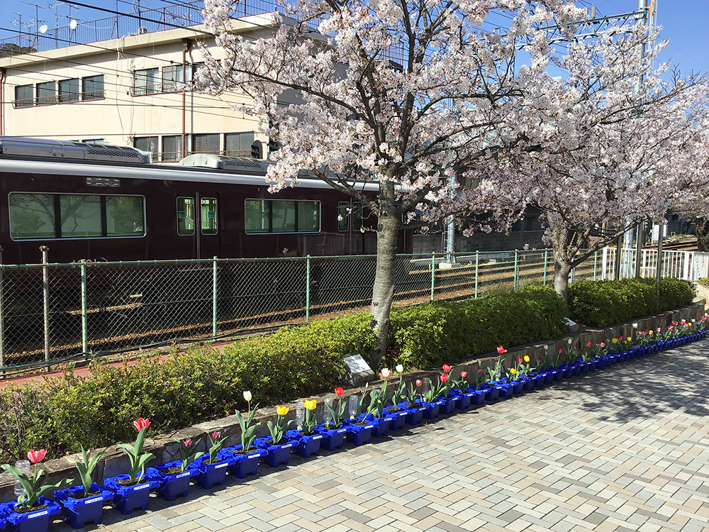 雲雀丘学園小学校