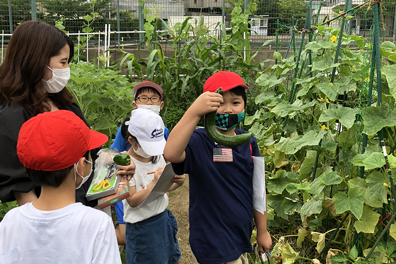 須磨浦小学校