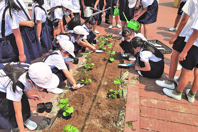 理科園での苗植え