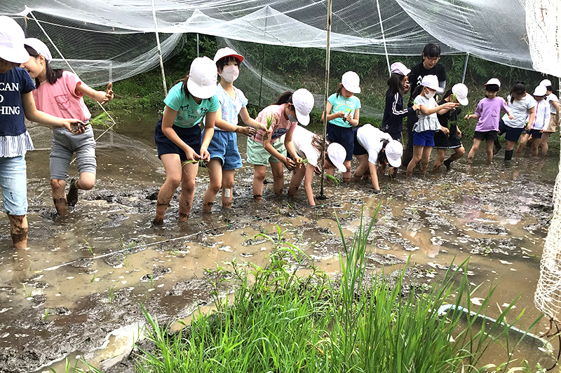 雲雀丘学園小学校