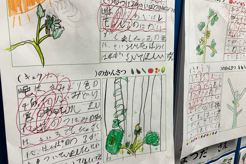振り返り掲示