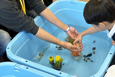海の生き物ふれあいコーナー