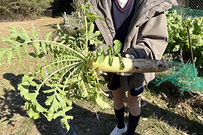 里山ワークショップ
