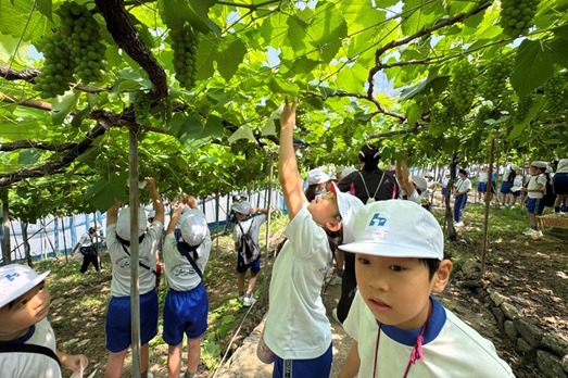 有光農園との連携授業