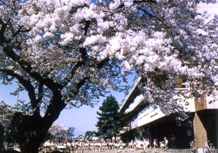 相模女子大学小学部　校舎