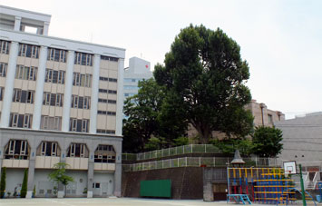 東京女学館小学校　校舎