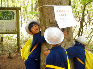 八ヶ岳自然教室（5月 第3・4学年）<br>自然散策 新緑がまぶしいくらいの中で宿泊学習。<br>子ども達は新しい発見をたくさんします。