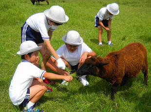 富士･尾瀬･富浦自然学校（9月）<br>1～6年生がそれぞれ縦割り異年齢集団となり、<br>2泊3日の宿泊体験です。