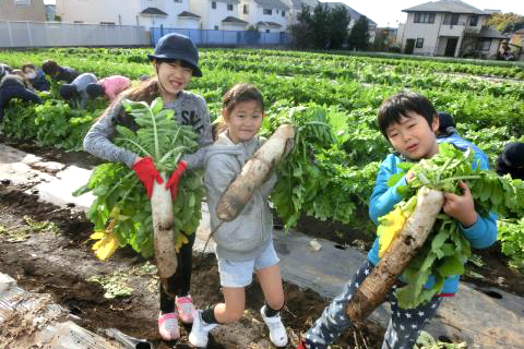 和光小学校